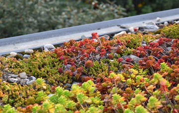 the cost of Capel Gwyn green roof installation