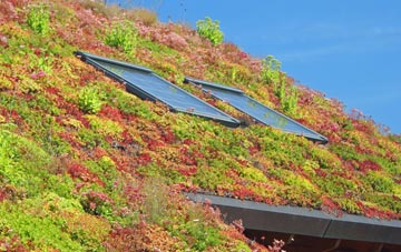 Capel Gwyn living roof systems